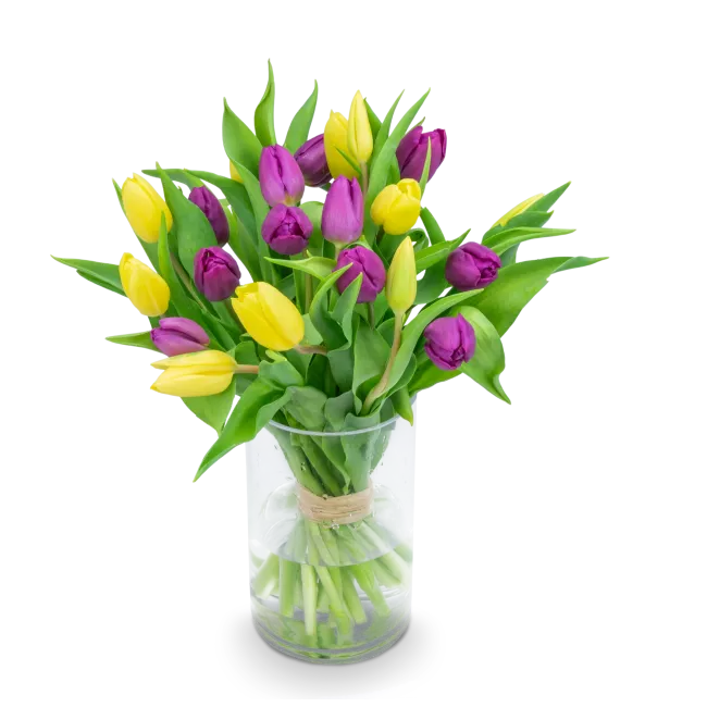 Bouquet of tulips